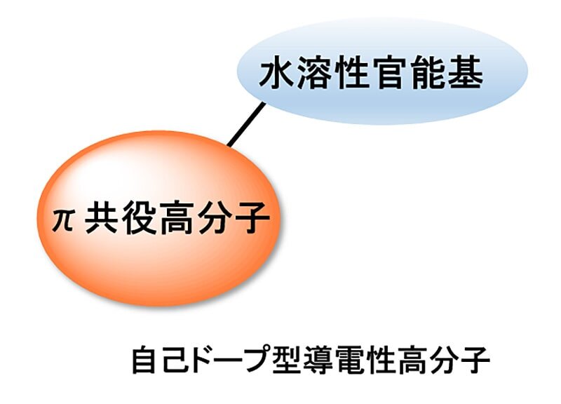 自己ドープ型導電性高分子